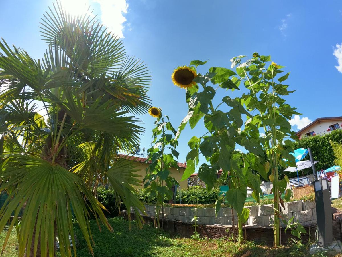 Casa Charlie Διαμέρισμα Arcisate Εξωτερικό φωτογραφία